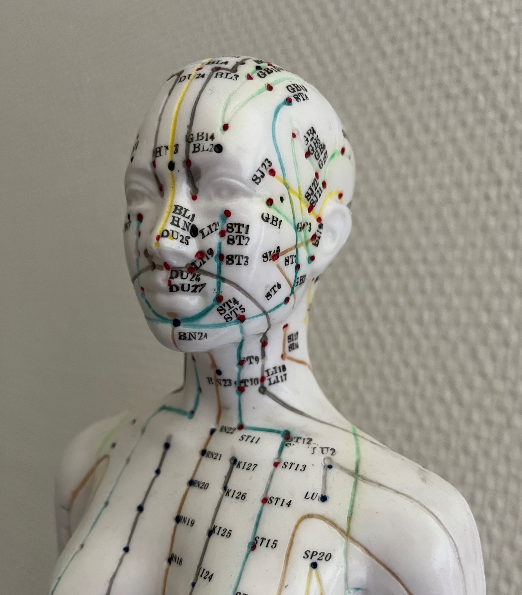 acupunctuur model